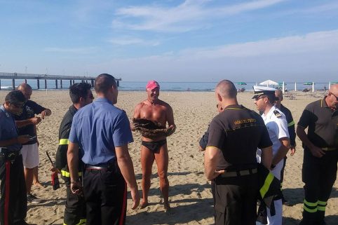 “Una bomba sulla spiaggia”, ma è un falso allarme