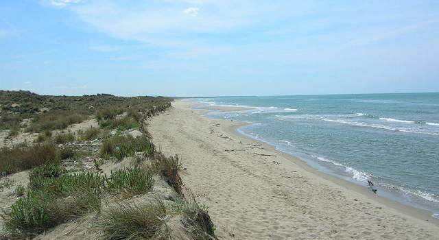 SPIAGGIA SOCIALE DEL GOMBO, SUPERATE LE 5MILA PRENOTAZIONI