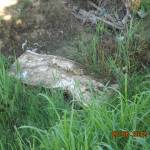 FOTO VARIE 134