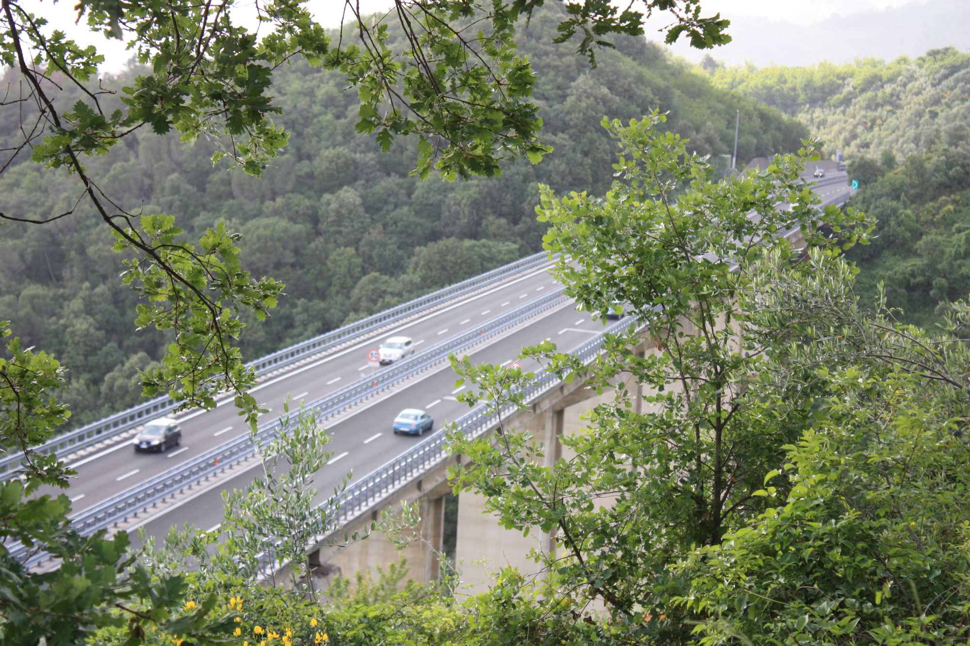 Prosegue la raccolta di firme contro l’autostrada a pagamento tra Massarosa e Viareggio