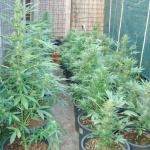 Schermata 06 2456093 alle 13.13.21