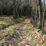 VIA FRANCIGENA