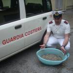 arselle sequestro capitaniera di porto guardia costiera