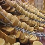 parmigiano-terremoto parmigiano terremoto