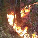 incendio fuoco (FotoMania)