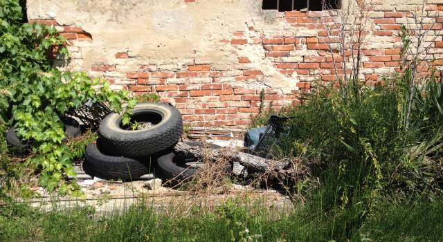 PELLEGRINI: &#8220;TELECAMERE E TOLLERANZA ZERO CONTRO LE DISCARICHE ABUSIVE&#8221;