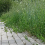 Schermata 07 2456113 alle 13.40.58