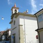 chiesa sacro cuore viareggio istituto casa di riposo Chiesa del sacro cuore viareggio