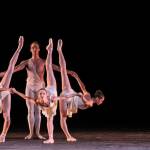 principals of the new york city ballet, ballo, danza, ballerini foto Andrea Zani