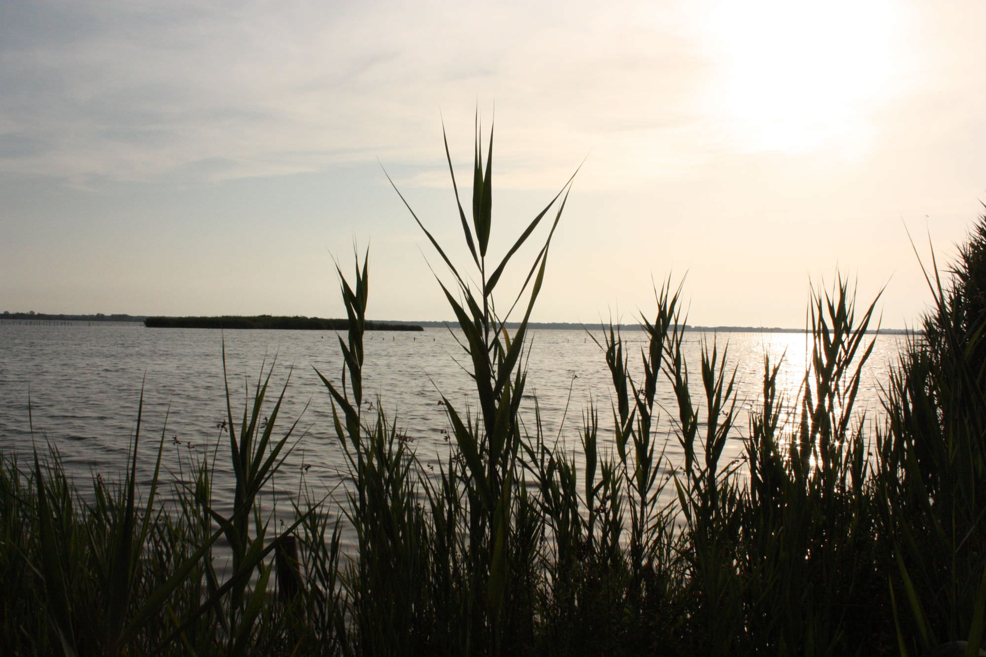 MASSACIUCCOLI, SOSPESA L’EROGAZIONE ORDINARIA. ACQUA GARANTITA CON PIANO ALTERNATIVO