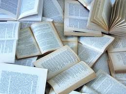 il piacere dei libri