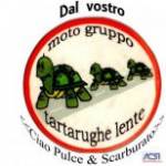 TARTARUGHE LENTE