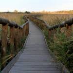 camminamento
