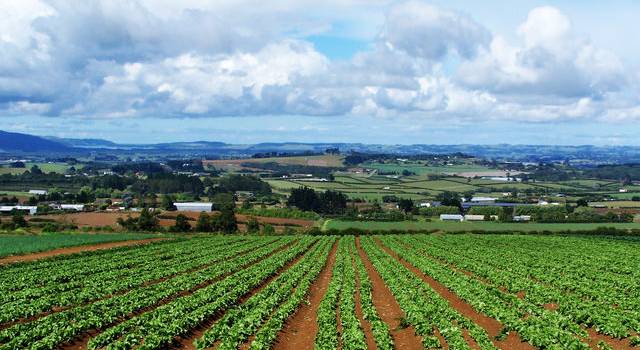 Agricoltura bio, via al bando per accedere ai contributi