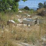 eternit via aurelia 4