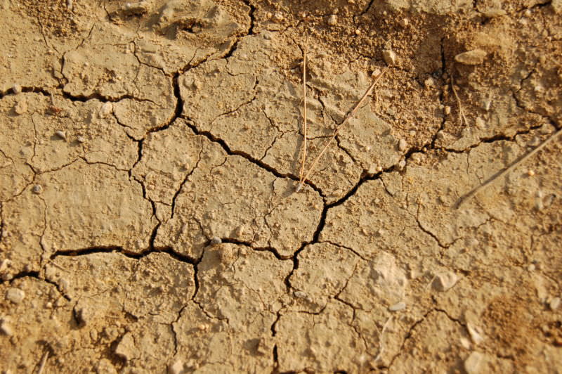 Rischio siccità. Le regole da seguire