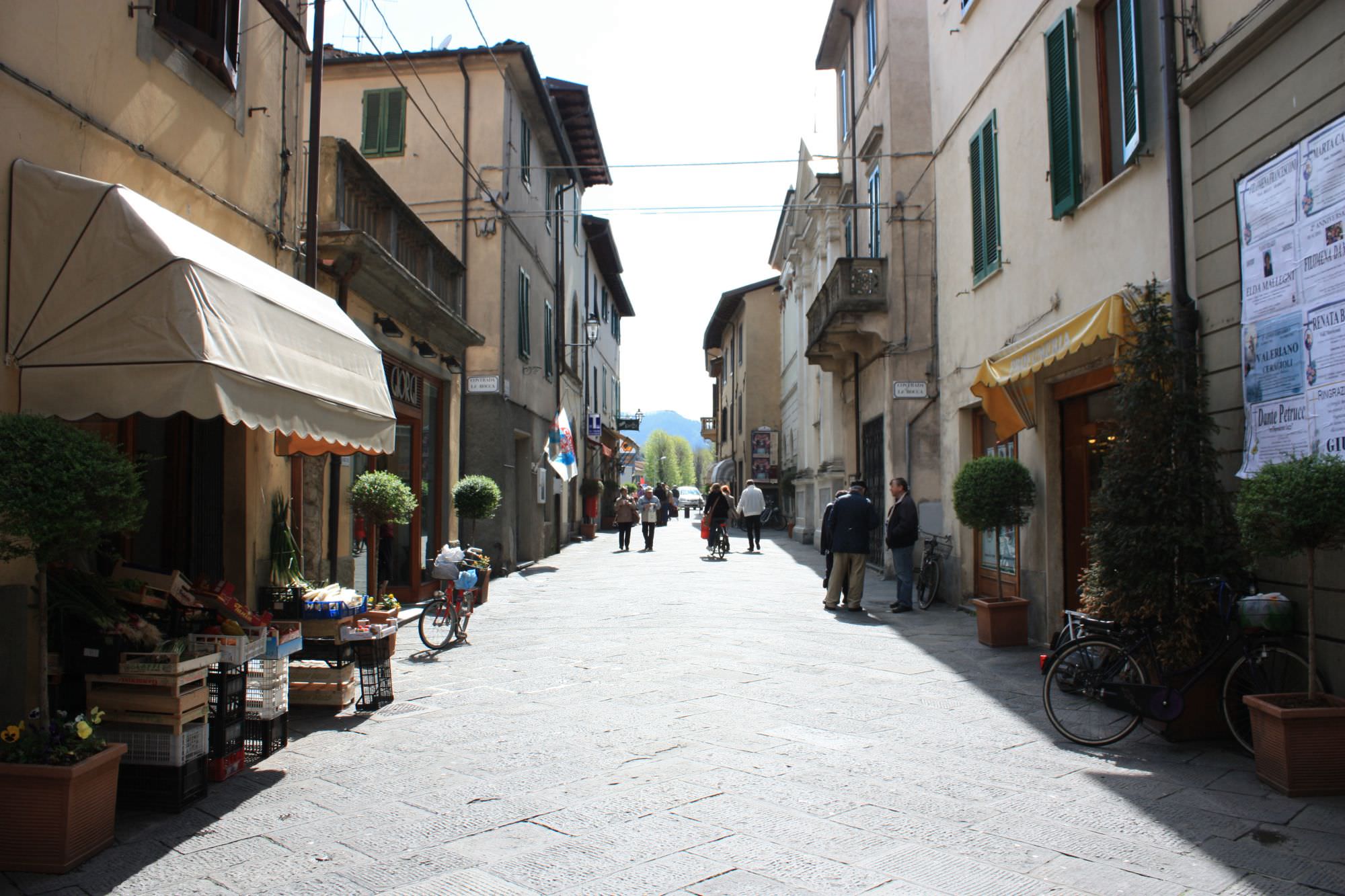 “Del Dotto va dritto per la sua strada, mentre Camaiore va in malora”