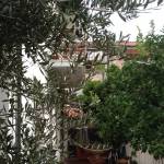casa via delle acacie casa via delle acacie