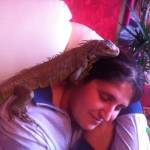 foto 9