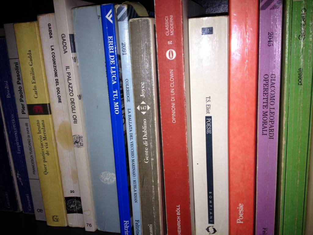 il piacere dei libri