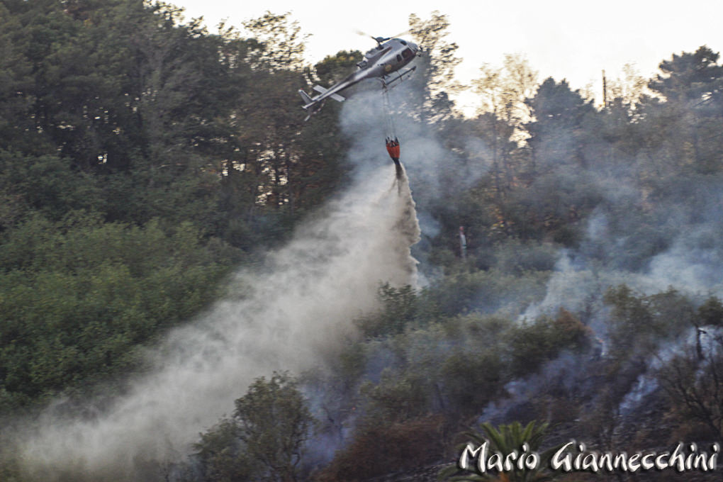 (foto Mario Giannecchini)