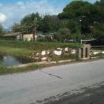 158 copia