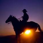 COW BOY