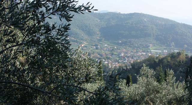 La raccolta porta a porta arriva anche nelle frazioni collinari di Massarosa