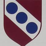 LogoCamaioreCalcio