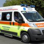 MISE CAMAIORE