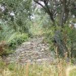 ROCCA DI CORVAIA