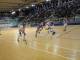 cgc fol coppa 31
