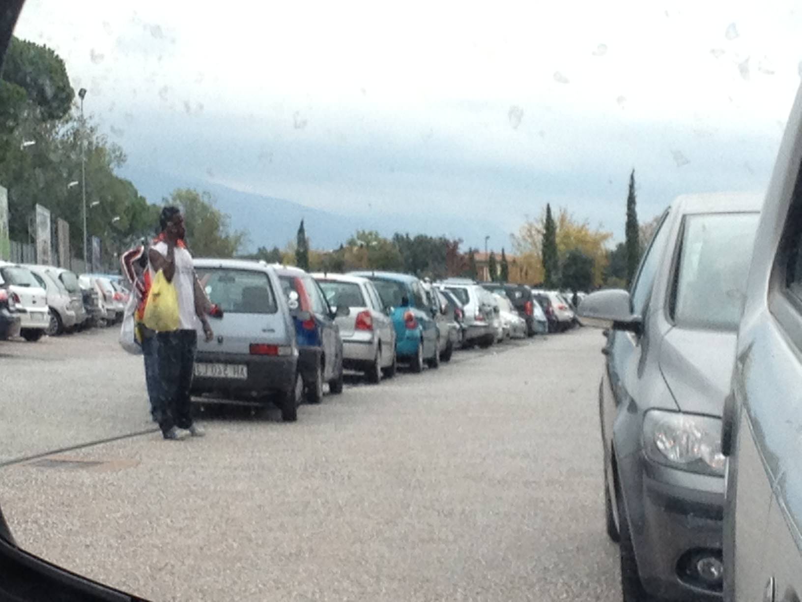 Pellegrini (FdI): “In Versilia ci sono cose più gravi del parcheggio a pagamento dell’ospedale”