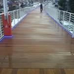 foto passerella 2