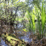 lago porta
