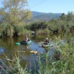 pesca