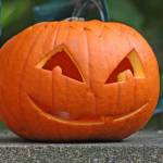 zucca halloween zucca halloween