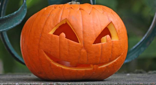 &#8220;Halloween a scuola&#8221;, a Pietrasanta menù speciale con costine spettrali e torta stregata