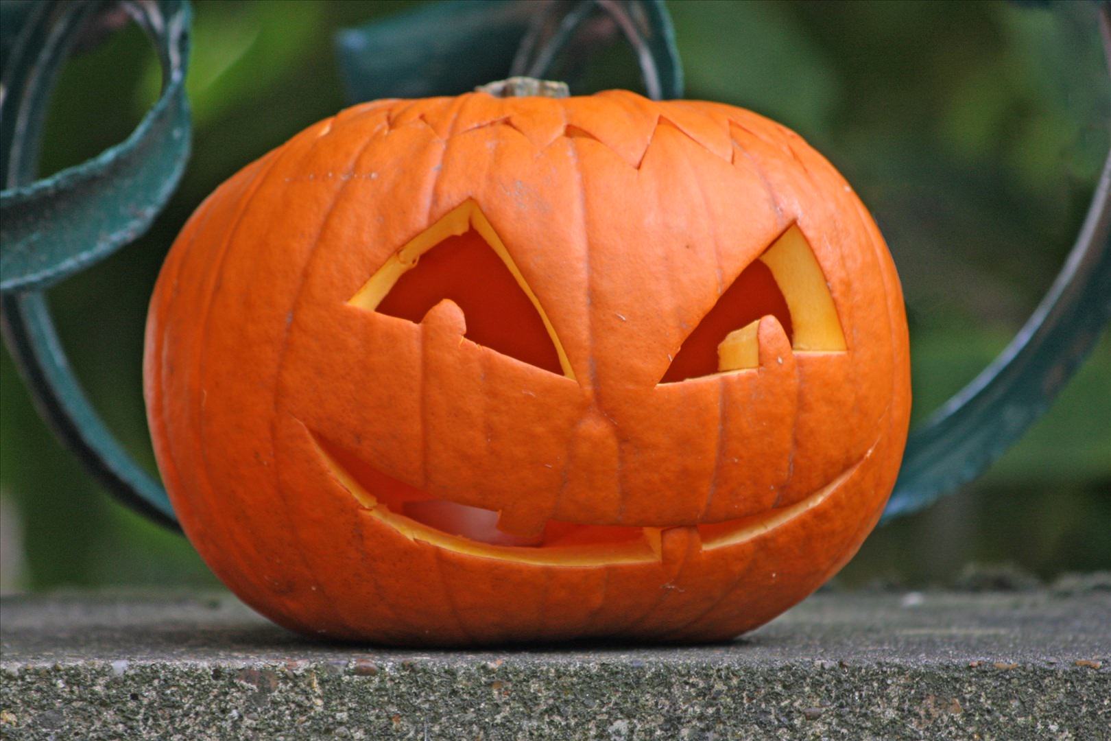 “Halloween a scuola”, a Pietrasanta menù speciale con costine spettrali e torta stregata