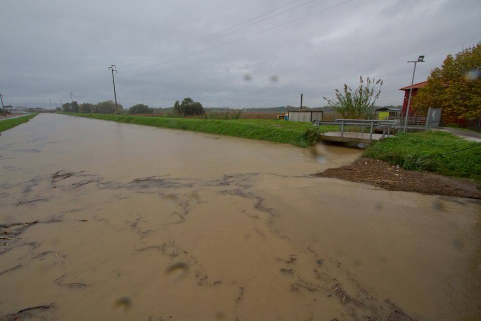 (foto Consorzio Bonifica Versilia)