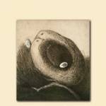 Copertina In fine 200