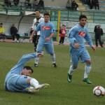 Coppa Carnevale 2010 Insigne Coppa Carnevale 2010 Insigne