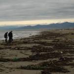 lavarone spiaggia rifiuti (foto Luisella Audero)