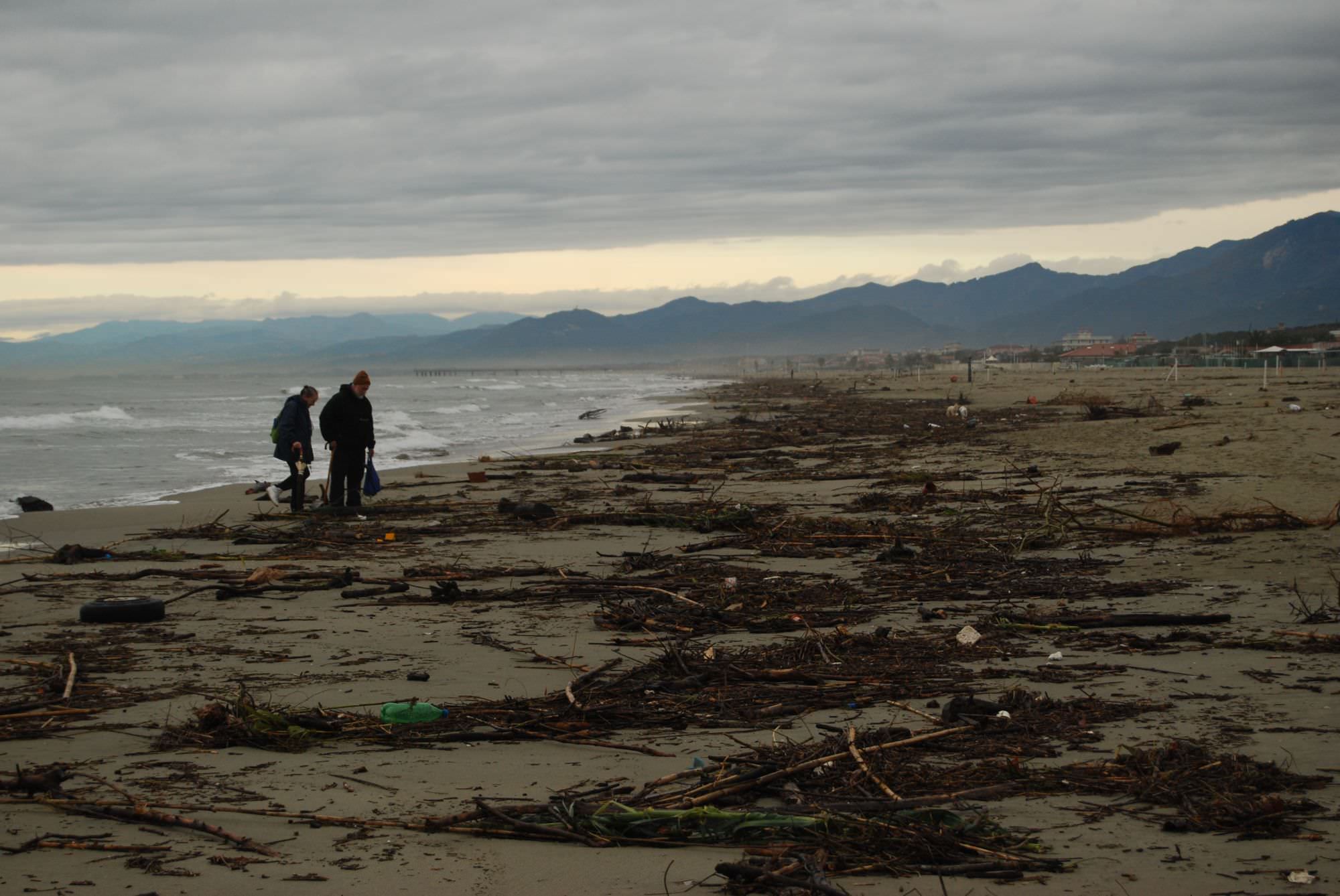 Lavarone in spiaggia a Forte dei Marmi: intervengono le ruspe