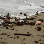 rifiuti in spiaggia (foto Luisella Audero)