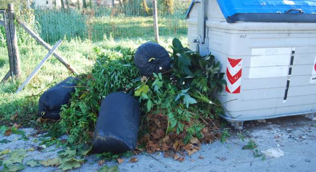 Videosorveglianza contro l&#8217;abbandono di rifiuti, al via la campagna di Sea e vigili urbani