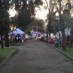 MERCATINO MIGNAGNORE PIAZZA PIAVE VIAREGGIO MERCATINO MIGNAGNORE PIAZZA PIAVE VIAREGGIO