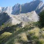 MONTE
