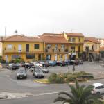 albero tagliato