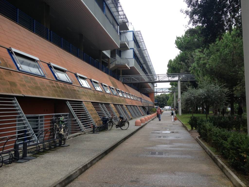 Ospedale Versilia